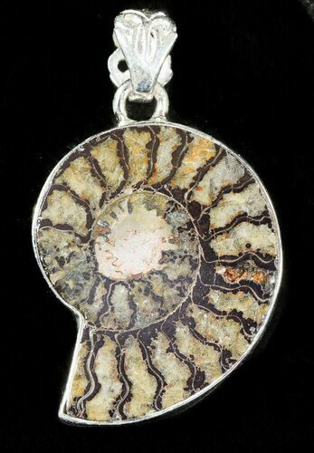 Ammonite Fossil Pendant - Sterling Silver #48760